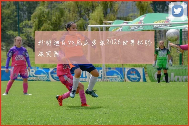 科特迪瓦vs厄瓜多尔2026世界杯弱旅突围