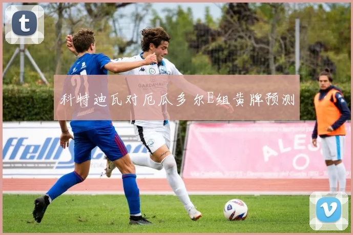 科特迪瓦对厄瓜多尔E组黄牌预测