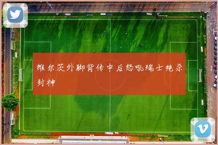 维尔茨外脚背传中后怒吼瑞士绝杀封神