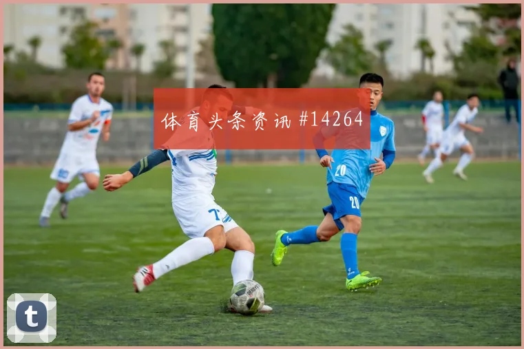 加维交锋斯特林