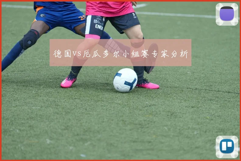 德国vs厄瓜多尔小组赛专家分析