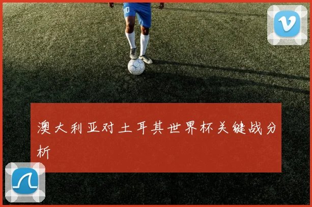 澳大利亚对土耳其世界杯关键战分析