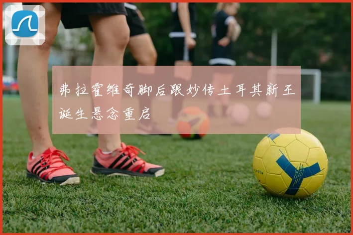 弗拉霍维奇脚后跟妙传土耳其新王诞生悬念重启