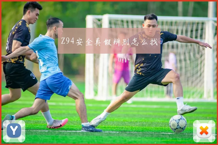 Z94安全真假辨别怎么找