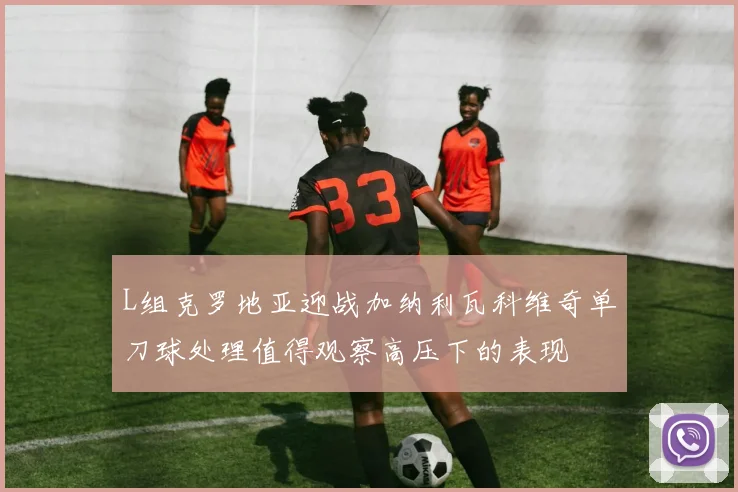 L组克罗地亚迎战加纳利瓦科维奇单刀球处理值得观察高压下的表现