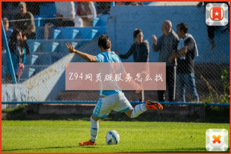 Z94网页版服务怎么找