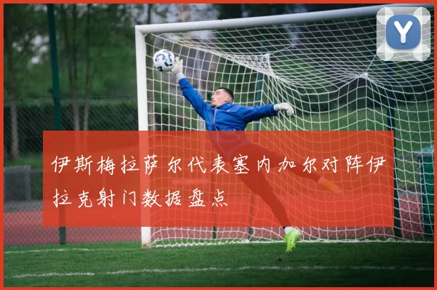 伊斯梅拉萨尔代表塞内加尔对阵伊拉克射门数据盘点