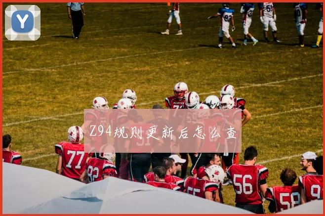 Z94规则更新后怎么查