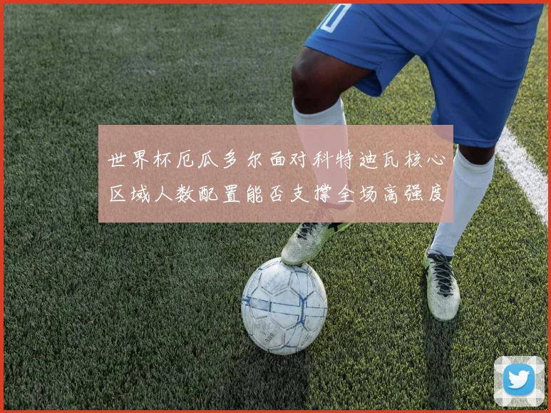 世界杯厄瓜多尔面对科特迪瓦核心区域人数配置能否支撑全场高强度