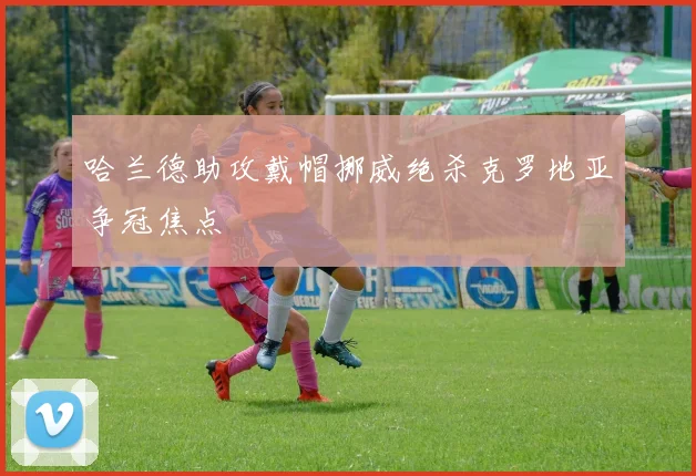 哈兰德助攻戴帽挪威绝杀克罗地亚争冠焦点